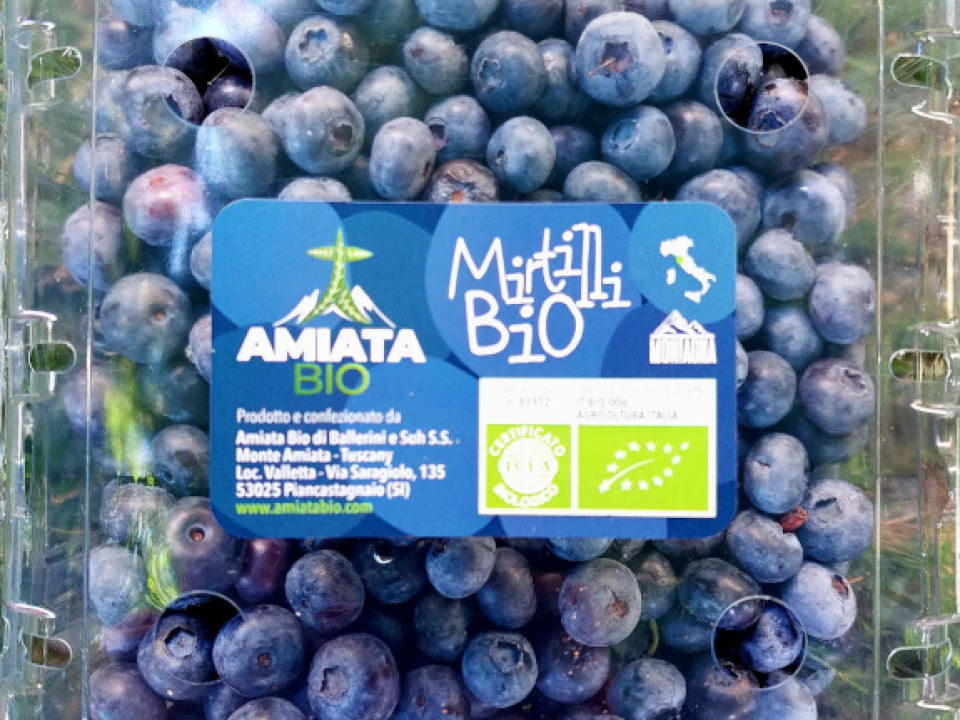 Mirtilli Amiata - Vaschetta da 1kg