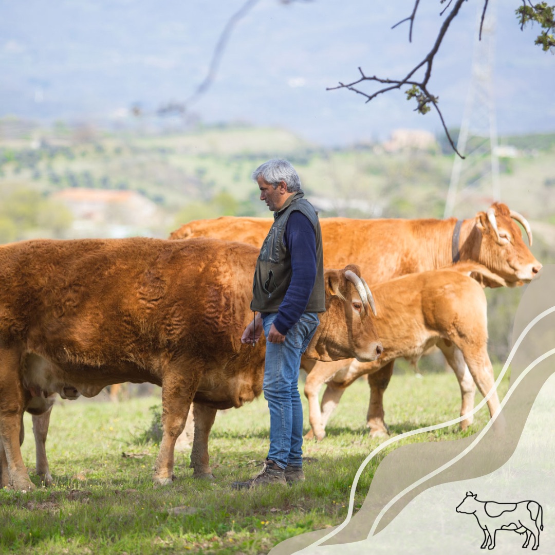 Volontari e soci al lavoro